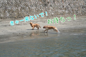 e0072606_14141170.jpg