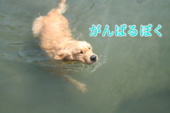 e0072606_1473826.jpg