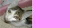 f0036409_531046.gif