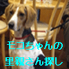 お母さんと姪っ子がNYに来た！　３_f0036409_591638.gif