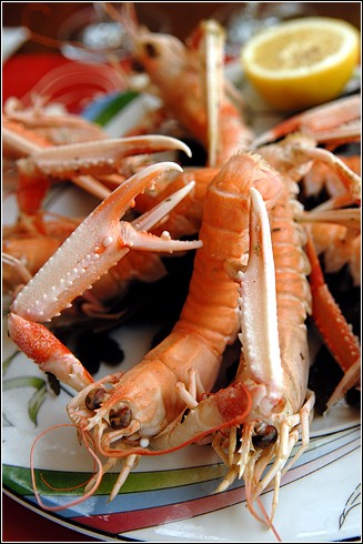 Langoustineの窮屈な姿_f0080510_15341464.jpg