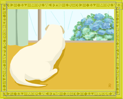 f0059616_642289.gif