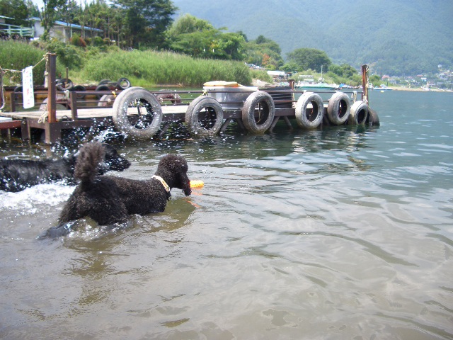 また河口湖に行ってきました。_f0098338_20481734.jpg