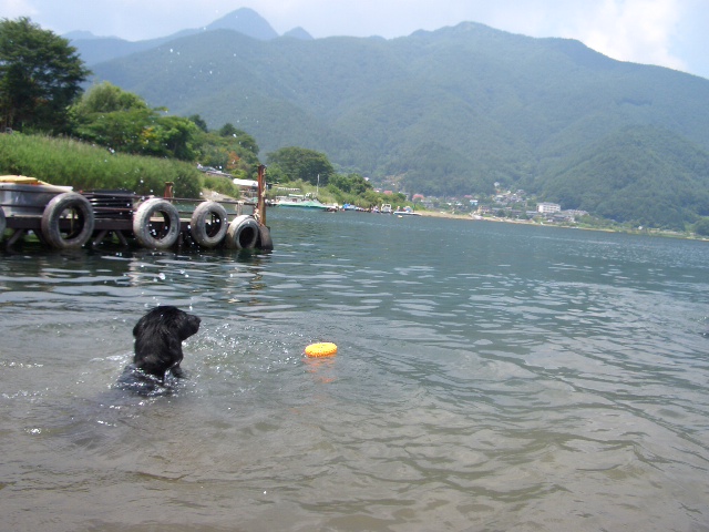 また河口湖に行ってきました。_f0098338_2048503.jpg