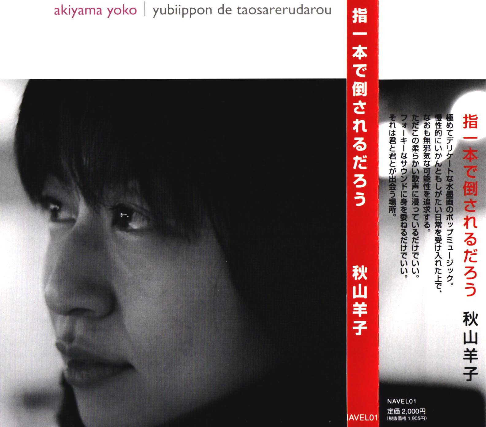 秋山羊子「指一本で倒されるだろう」_e0022344_4163153.jpg