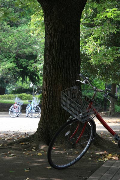 自転車シリーズ１_f0072371_15315456.jpg