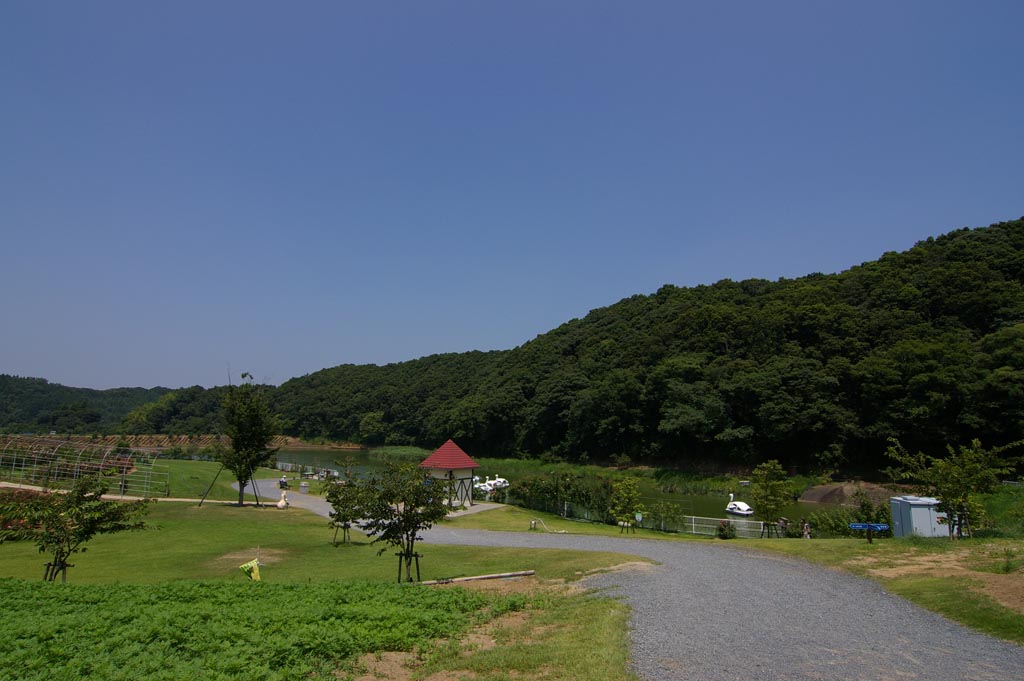 e0071178_18413725.jpg