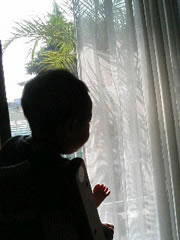 f0084478_83602.jpg
