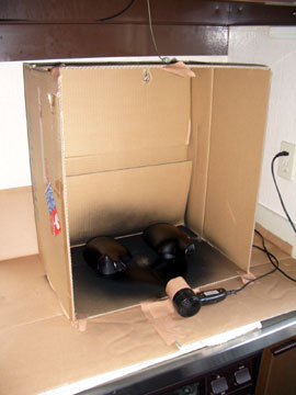 f0032891_1552734.jpg