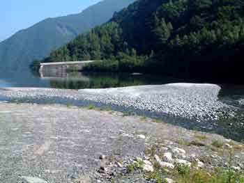 e0001110_5355750.jpg