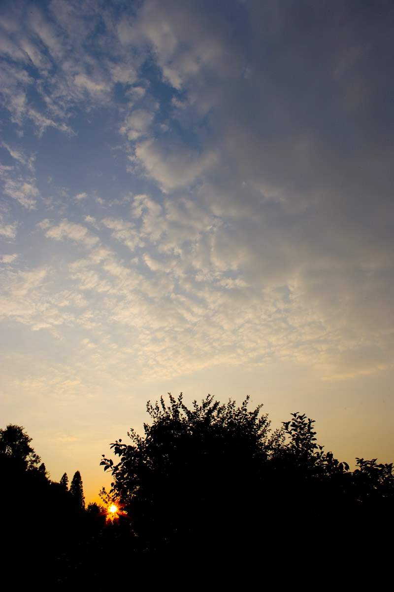 d0073620_2157980.jpg