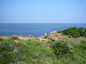 d0023725_92837.jpg