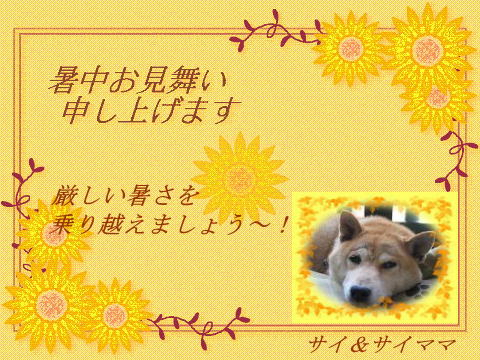 「暑い」の他に言葉はない。。。_c0049950_20495213.jpg