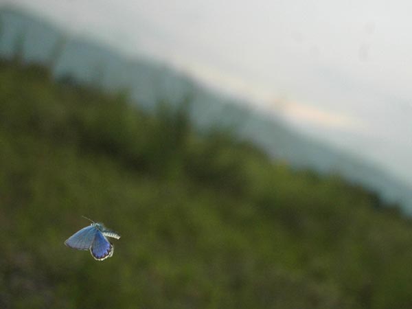 c0045352_16182790.jpg