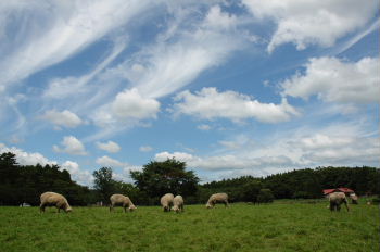 d0027057_23798.jpg