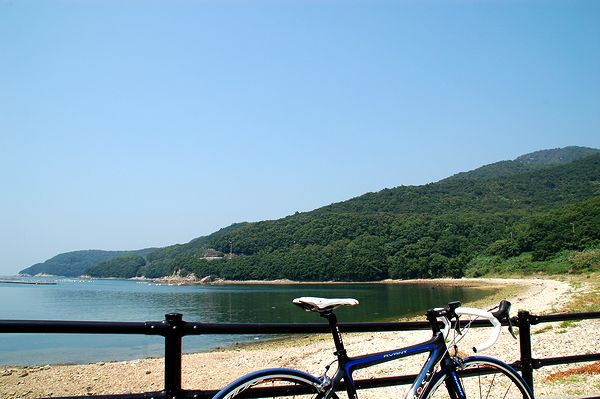 e0053660_1738990.jpg