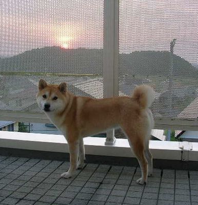 2006年8月5日(土)・・・海水浴日_f0060461_15412013.jpg