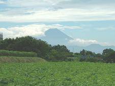 b0021766_1153092.jpg