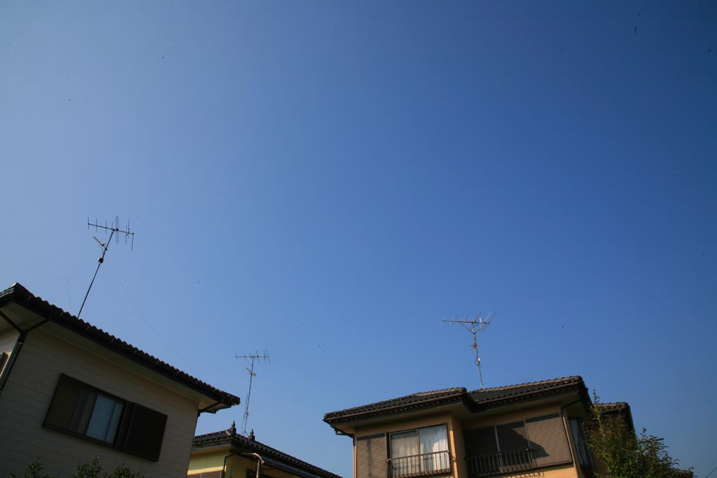 e0071178_15464837.jpg