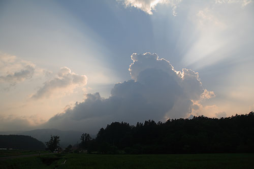 c0038290_5432965.jpg