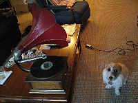 c0064796_2339530.jpg