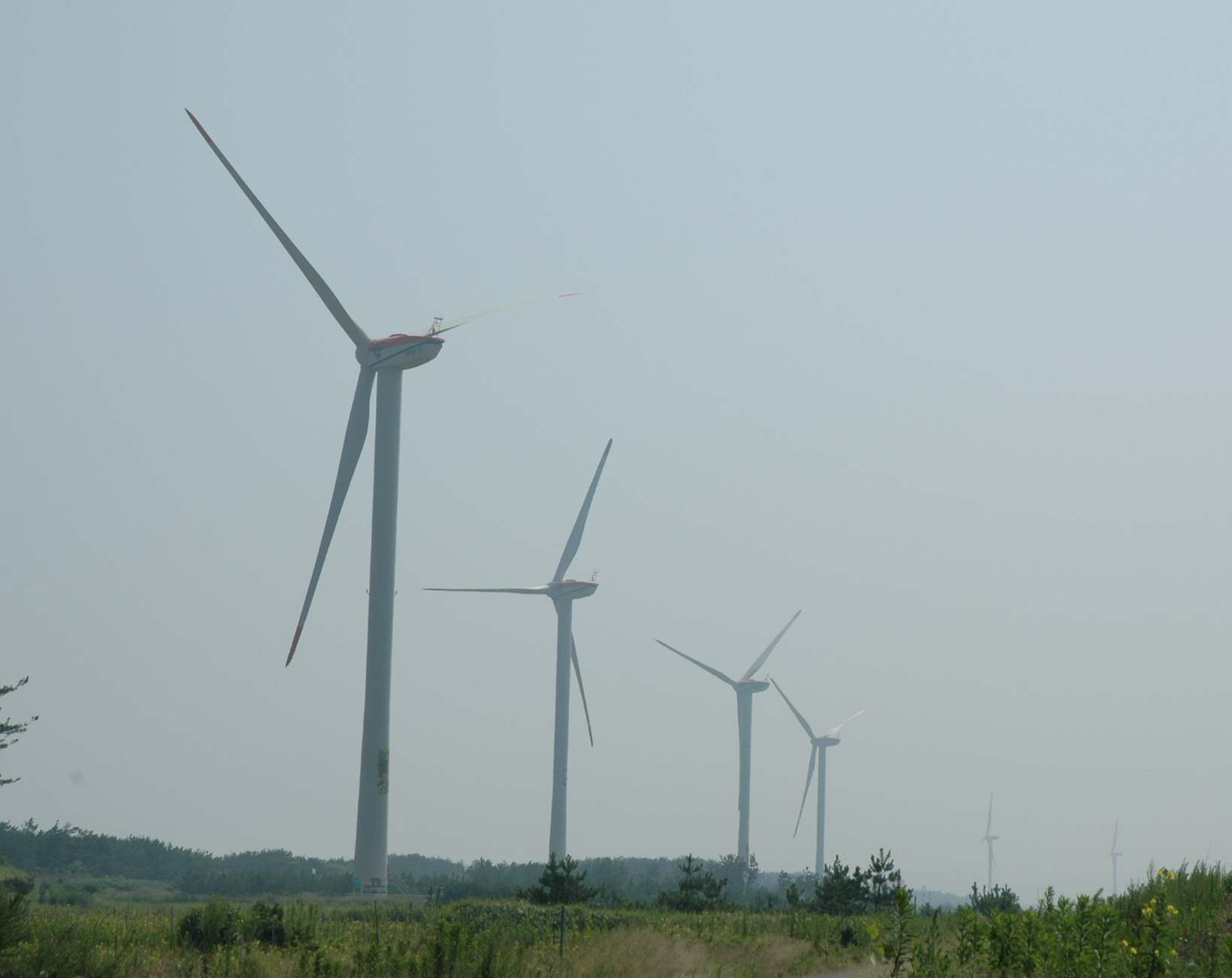 f0086397_141642100.jpg