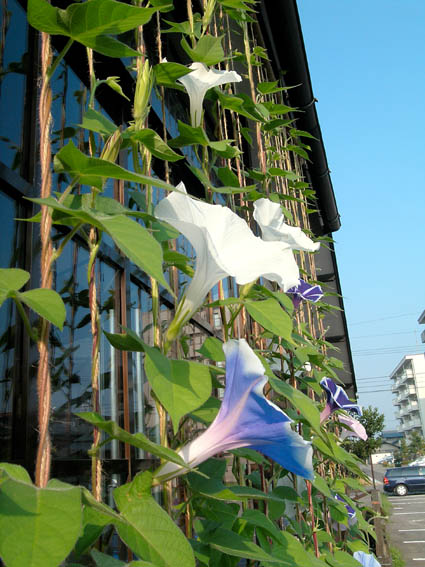 c0078410_5541432.jpg