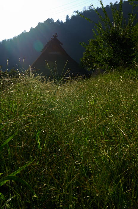 f0032011_19333376.jpg