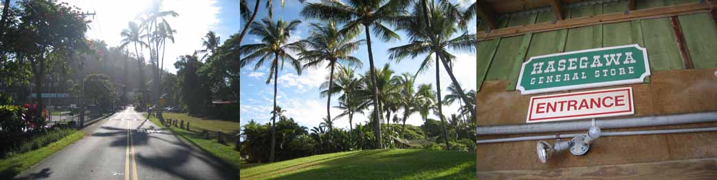 023【Sans Souci】_b0071712_684110.jpg