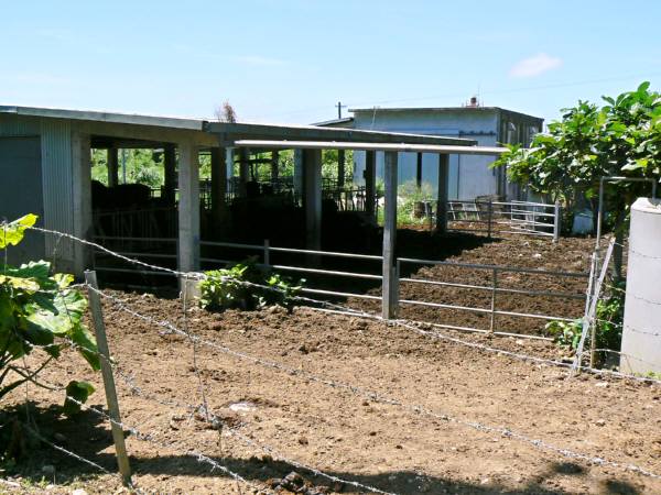 d0072521_22572247.jpg