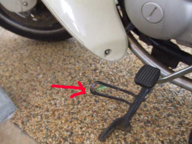 バイクにサナギ_b0054727_10202039.jpg