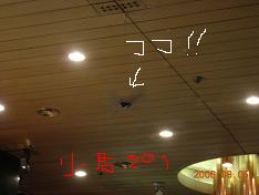 d0034432_0151226.jpg