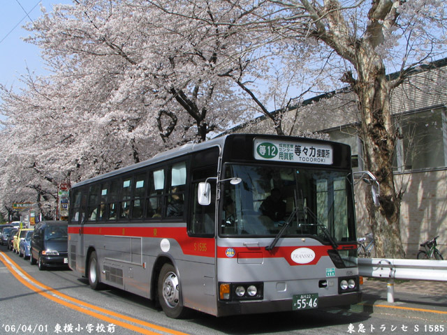 a0048833_2116747.jpg
