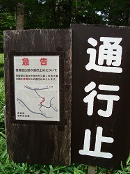 d0055236_10143087.jpg