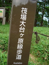 d0055236_1015179.jpg