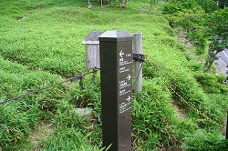 d0055236_1061141.jpg