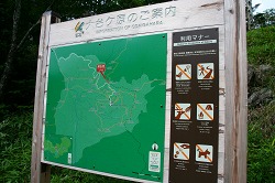 d0055236_1072174.jpg