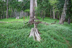 d0055236_1093746.jpg