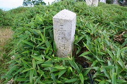 d0055236_12204420.jpg