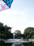＊ミカ、ミカ！！＊　　2006,8,5_a0030038_13513933.jpg