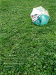 ＊ミカ、ミカ！！＊　　2006,8,5_a0030038_1351452.jpg