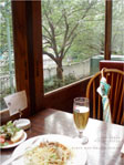 ＊ミカ、ミカ！！＊　　2006,8,5_a0030038_1352188.jpg