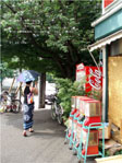 ＊ミカ、ミカ！！＊　　2006,8,5_a0030038_13522275.jpg