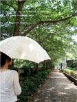 ＊ミカ、ミカ！！＊　　2006,8,5_a0030038_1352853.jpg