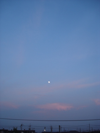 e0086642_19462264.jpg