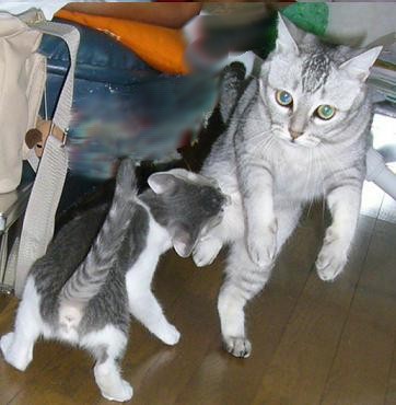 時間の問題_f0002743_0595369.jpg