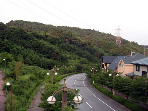 f0007956_88635.jpg