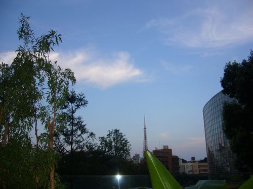 六本木ヒルズ バリカフェトゥプリ Bali Cafe PUTRI。。。.゚。*・。♡_a0053662_20534628.jpg