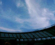 a0067990_2144884.jpg