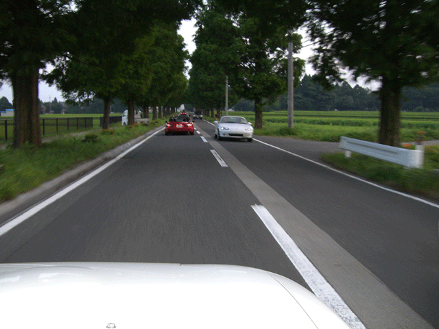 e0063003_13335273.gif